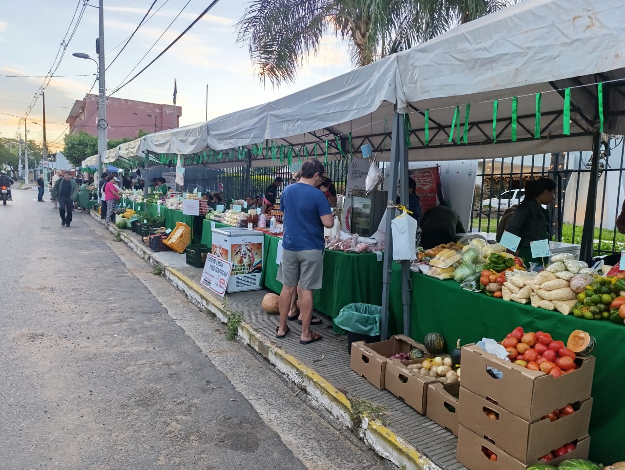 Feria agricultura