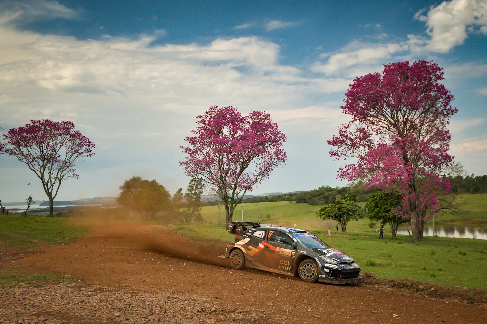 RALLY WRC