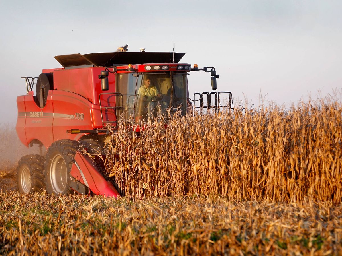 Agricultor