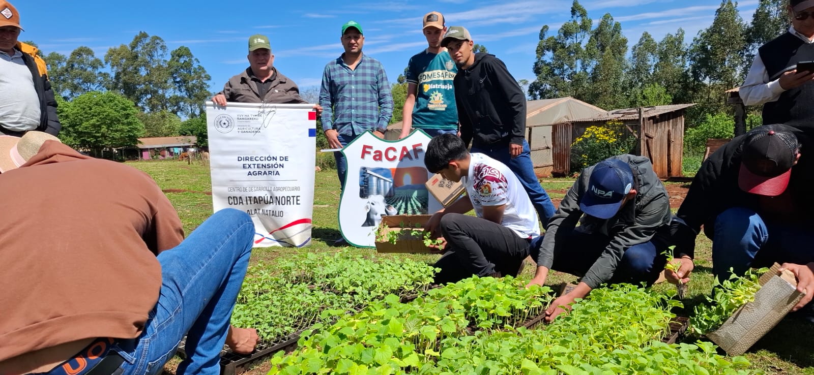 Productores de Natalio